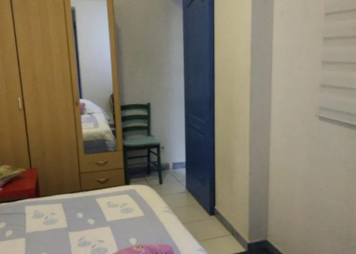 Rez-de-chaussee Majorque Centre De Appartement Perpignan